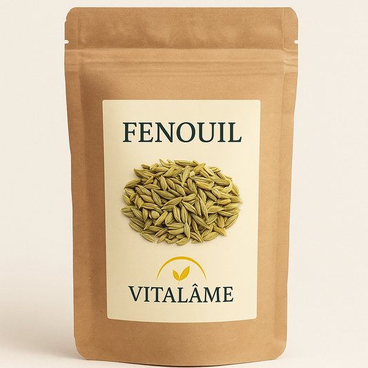 Fenouil bio – Sachet 50 g